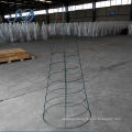 Plant Support Frame For Galvanized Round Tomato Cage